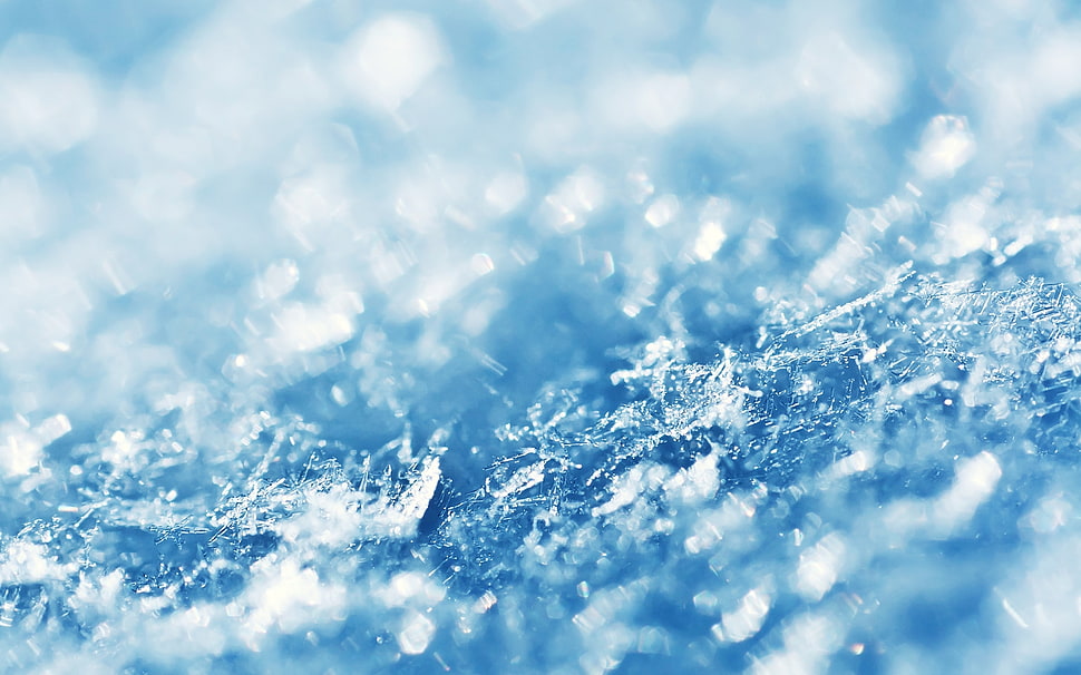 raindrops photo HD wallpaper